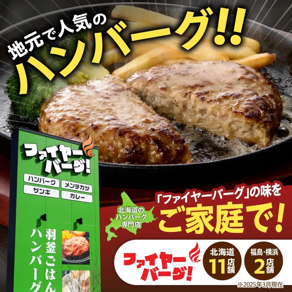 【ふるなびWEEK対象】ハンバーグ 専門店の3種セット 8個（レギュラー・チーズ・ポテサラ）｜ファイヤーバーグ 人気 おかず 惣菜 北海道 石狩市