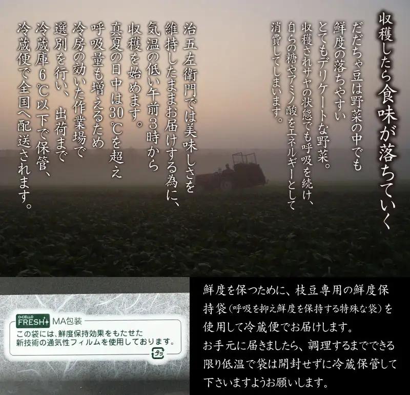 【令和8年産先行予約】【3回定期便】 山形セレクション認定！15代目「治五左衛門」の新鮮だだちゃ豆３種類食べくらべセット