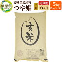 【ふるさと納税】《定期便6ヶ月》【令和6年産・玄米】宮城県栗原産 つや姫 毎月5kg (5kg×1袋)×6ヶ月