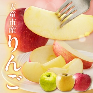 サンふじ ＆ 黄色い りんごセット (シナノゴールドまたは王林) 10kg フルーツ 果物 山形 08-03-106