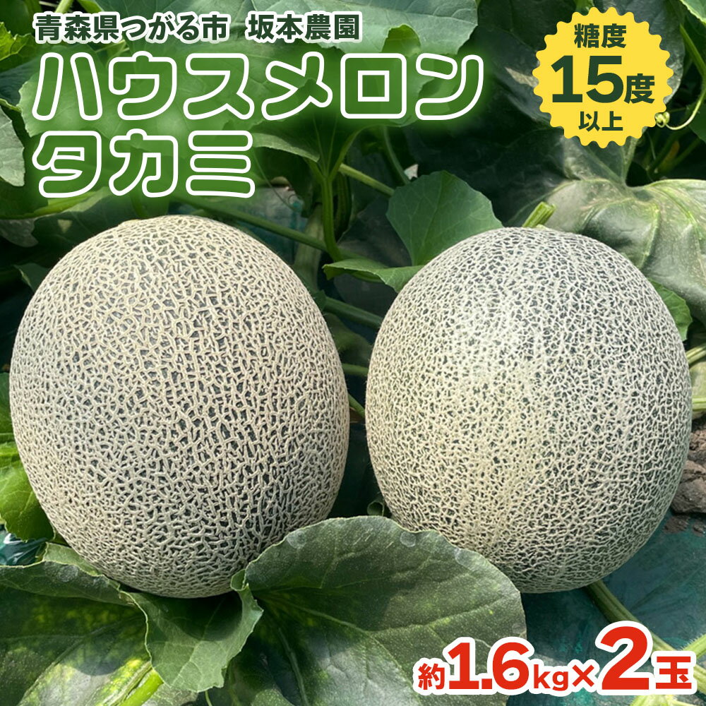 【ふるさと納税】坂本農園のハウスメロン タカミ (約1.6kg×2玉) 糖度15度以上｜青森 津軽 つがる産 貴味 特産 フルーツ 果物 ギフト メロン めろん たかみ タカミ 2025年 令和7年 [0823]