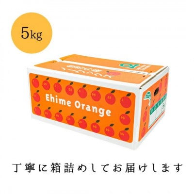 【糖度14.0以上酸1.4以下】糖酸選別品 愛媛産 不知火 (しらぬひ) 5kg【D20−61】【配送不可地域：離島】【1620228】
