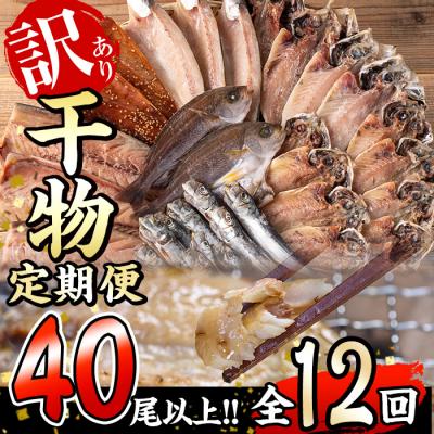 ふるさと納税 佐伯市 &lt;定期便・全12回 (毎月)&gt;訳あり 干物大満足BOX (40尾以上)