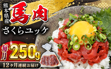 【全12回定期便】 馬肉さくらユッケ 5パック (50g×5パック) 桜ユッケ 馬刺し 馬肉[YBZ034]