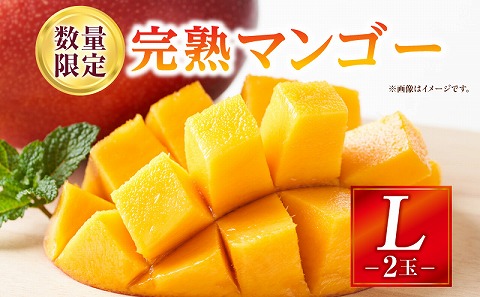 《2026年発送先行予約》【数量・期間限定】完熟マンゴー Lサイズ 2玉_M354-002-01
