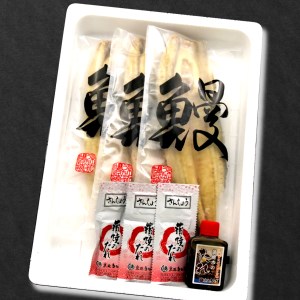 国産鰻 白焼き 3尾 うなぎ 沼津 鰻 指定日可