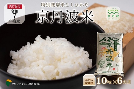 【6回定期便】 《 新米先行予約 》2025年10月発送開始 特別栽培米 こしひかり 京丹波町産 10kg 6カ月定期便 合計60kg 令和7年産米 精米 お米 京都 丹波 コシヒカリ 特A獲得 農家直送 ※北海道・東北・沖縄・その他離島は配送不可 [100AGC002R]