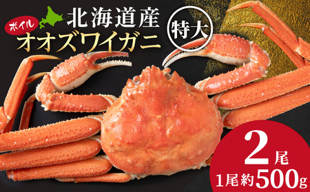 北海道産 オオズワイガニ＜特大＞500g×2尾〈小田切水産〉 AM164