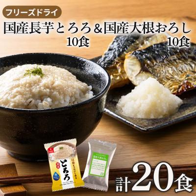 ふるさと納税 長野県 水を注いで1分で完成!フリーズドライ国産長芋とろろ10食&amp;国産大根おろし10食(常温保存・小分け)