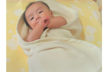 おくるみ毛布 (オーガニック綿使用) 毛布の町泉大津産 [2425]