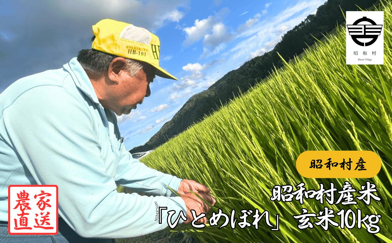 【ふるさと納税】昭和村産米「ひとめぼれ」玄米10kg 米 玄米 ひとめぼれ お米 こめ コメ 特別乾燥米 10kg ご飯 おすすめ お中元 お歳暮 ギフト 昭和村 ふくしま 福島県 送料無料【山内常一】