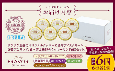 ハンデルスベーゲン無添加アイスクリーム/クッキーサンドセット　メディアでも話題！濃厚アイスクリームのクッキーサンド×6個のセット　大人気商品 クッキー 数量限定 SNSやメディアで話題　バニラ キャラ