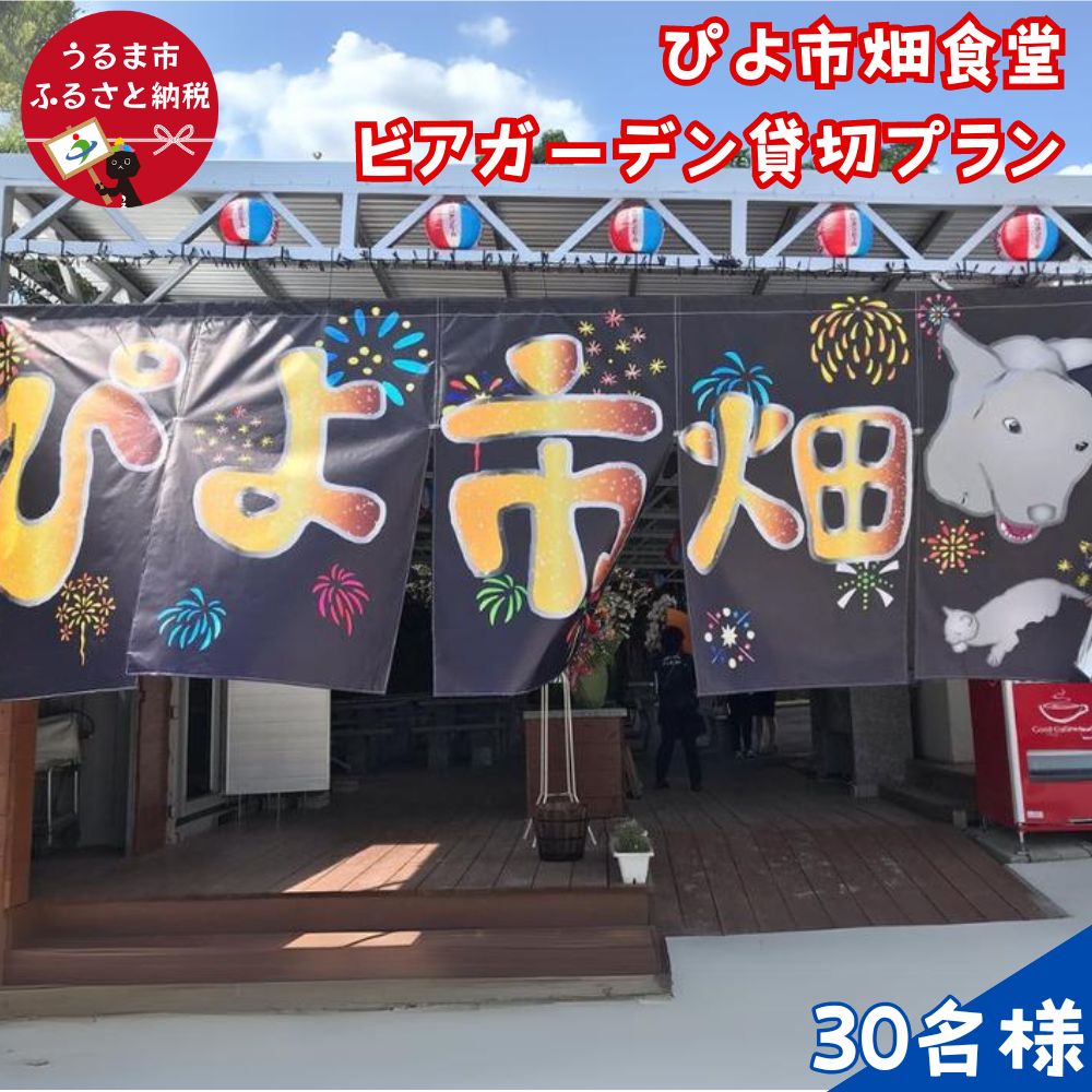 【ふるさと納税】沖縄民謡ショーなどが楽しめる！ビアガーデン3時間貸切プラン（30名様）