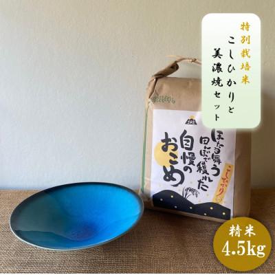 ふるさと納税 多治見市 【令和7年産:精米】特別栽培米コシヒカリ(4.5kg)+【美濃焼】青輝貫入7寸鉢