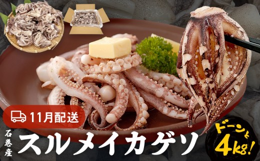 いか 〈 訳あり 〉11月配送 宮城県産 スルメイカ ゲソ 4kg 冷凍 国産 スルメイカ いか 下足 イカ イカゲソ カルパッチョ おつまみ 魚介類 焼イカ イカ料理 バーベキュー BBQ わけあり 不揃い 烏賊 炒め物 フライ ゲソ天 唐揚げ 石巻 宮城