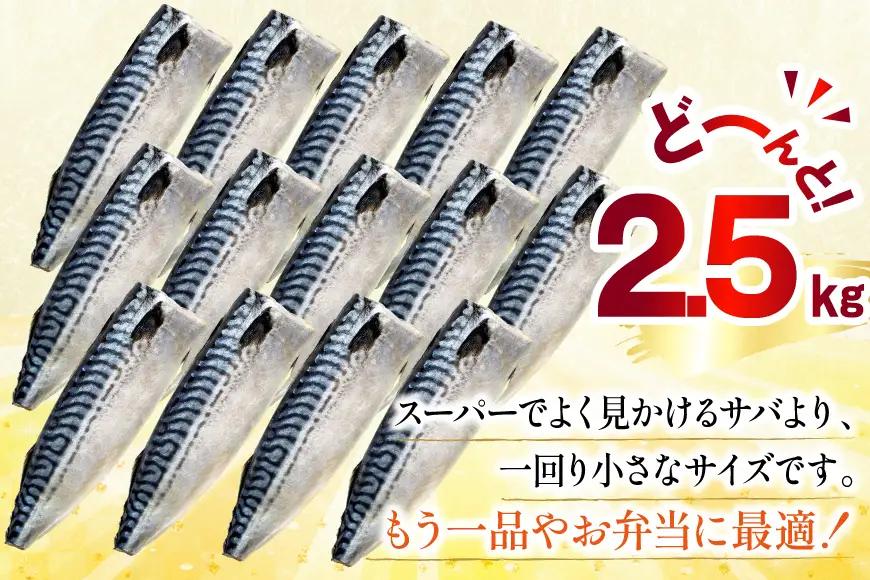 訳あり 減塩 塩サバ フィレ Sサイズ 総重量 2.5kg 20565959