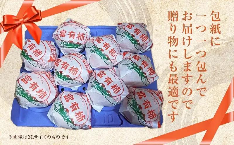 富有柿発祥の地から収穫翌日発送！【贈答用】富有柿 Lサイズ 14個 | かき フルーツ カキ 果物 くだもの ※2026年11月～発送