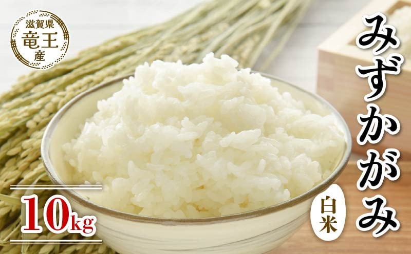 
            【 先行予約 】 令和7年産 新米 予約 みずかがみ 白米 10kg 米 滋賀県 竜王町 国産 農家直送 特別栽培米 ミズカガミ 2025年産 国産 農家直送 環境こだわり お米 こめ おこめ 産地直送 送料無料 滋賀県 竜王町 ふるさと納税
          