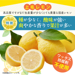 上毛町産レモン 訳ありB級品 5kg _K06406