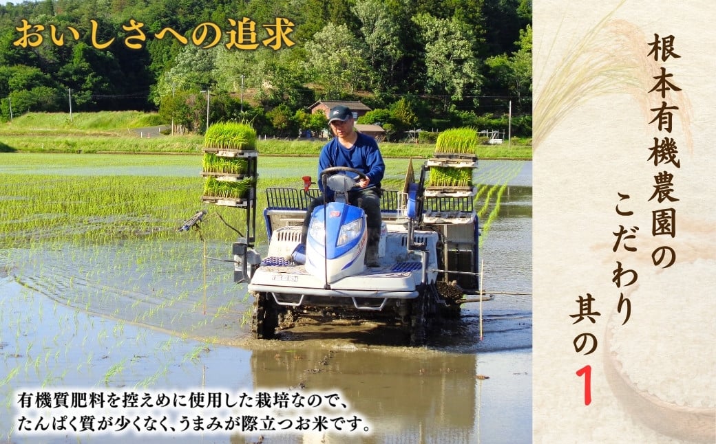 【令和7年産】南相馬・根本有機農園のJAS有機米コシヒカリ5kg（玄米）
