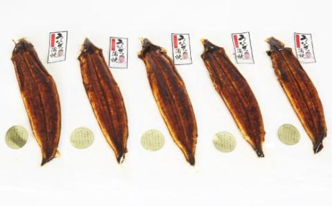 温泉うなぎ蒲焼 5尾（140gサイズ） 国産うなぎ＜104-009_5＞