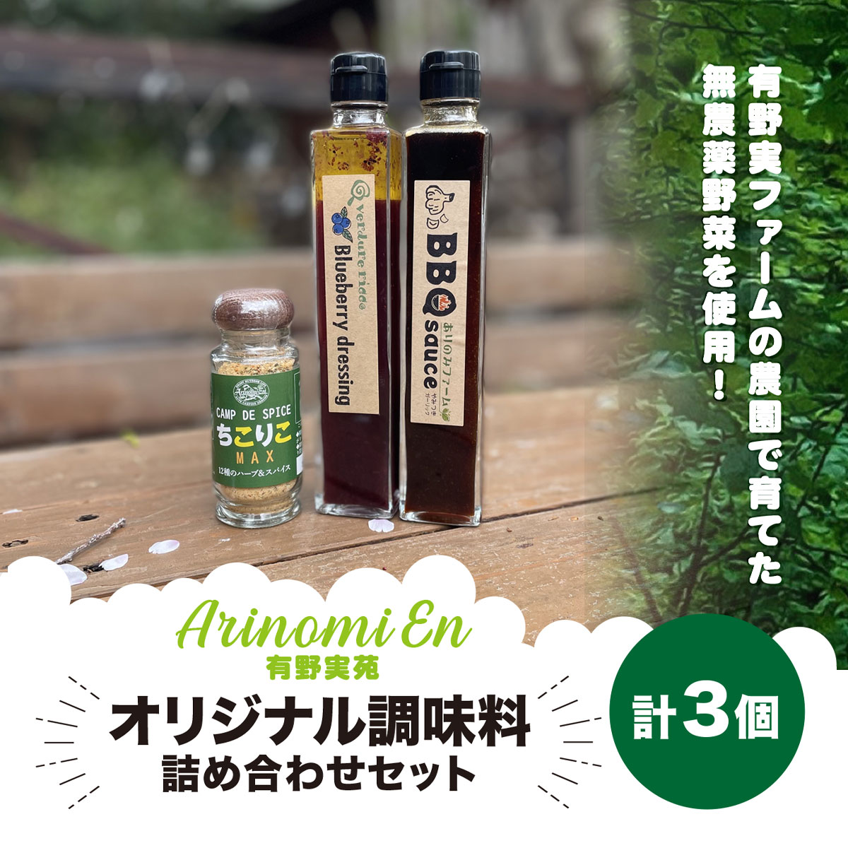 【ふるさと納税】有野実苑オリジナル調味料詰め合わせセット 【 ふるさと納税 人気 おすすめ ランキング 調味料 ドレッシング サラダ ソース セット 詰合せ ギフト 贈答用 千葉県山武市 送料無料 】SMN006