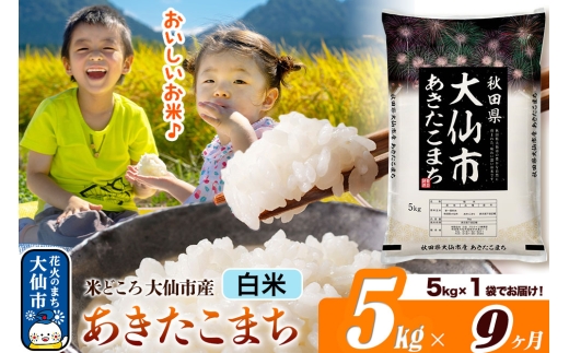 米《定期便9ヶ月》あきたこまち【白米】 米どころ秋田県大仙市産 令和7年産 精米 5kg（5kg×1袋） [米 お米 こめ 白米 精米 あきたこまち ブランド米 通算18回 特A 小分け ご飯 ごはん 米どころ 秋田県産 大仙市]