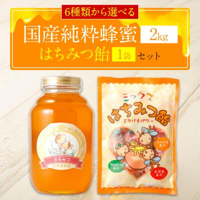 ふるさと納税 八代市 国産 純粋 晩白柚蜂蜜 2kg 蜂蜜あめ 1袋 はちみつ_058-5184-banpeiyu-A