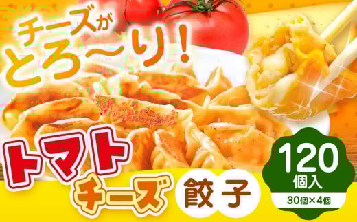 トマトチーズ餃子 120個入り | 食品 中華 加工品 おかず 一品 餃子 ぎょうざ トマト チーズ 熊本県 玉名市