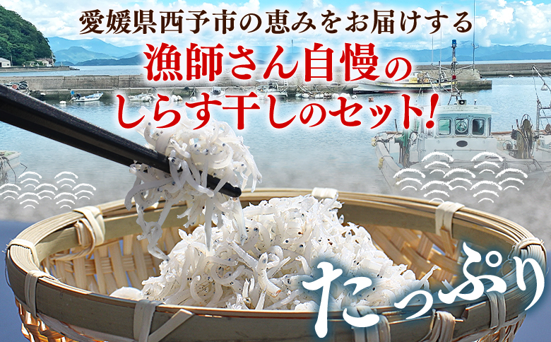 ＜漁師さん自慢のしらす干し 合計1kg（100g×10パック）＞ シラス 魚介類 さかな 海産物 海鮮 海の幸 小分け 国産 ご飯のお供 丼 おつまみ 晩酌 おかず おやつ 特産品 産地直送 濵田水産