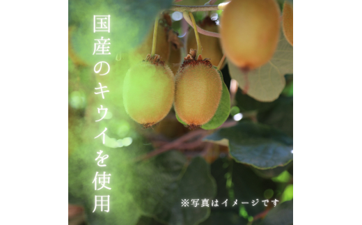 メルカドレグメス　ドライフルーツ　キウイフルーツ ／ ドライフルーツ フルーツ 果物 くだもの キウイ キウイフルーツ 自家製 3000円