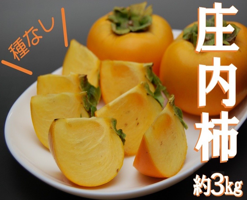 
            庄内柿　約3kg(18～20個入) SA2688
          