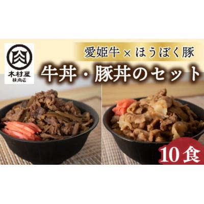 ふるさと納税 松山市 愛媛ブランド肉・食べ比べ丼セット|【愛姫牛の牛丼】×【放牧豚の豚丼】(真空冷凍・各5食)