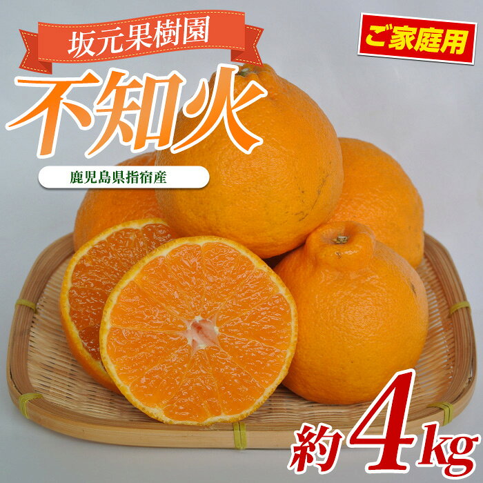 【ふるさと納税】＜先行予約受付中！2026年2月上旬以降順次発送＞＜訳あり＞みかん農家の坂元さんちの不知火ご家庭用(約4kg程度) 鹿児島 不知火 みかん 柑橘 フルーツ 果物 訳あり ご家庭用【坂元果樹園】