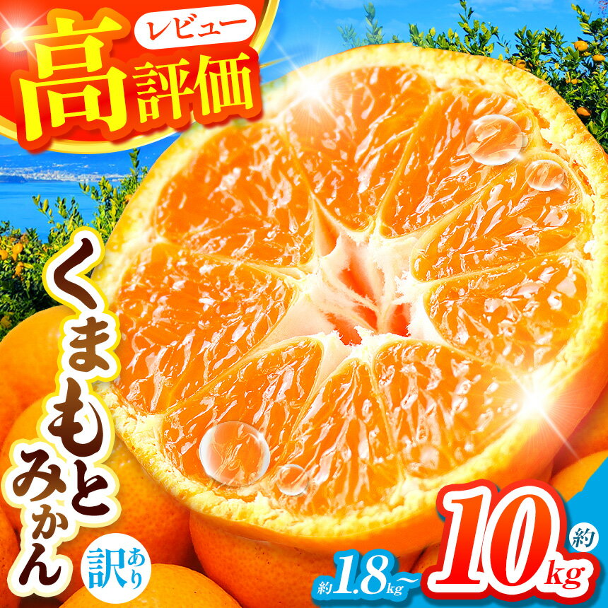 【ふるさと納税】 選べる 内容量 訳あり 大玉 くまもと みかん 約 1.8kg / 5kg / 10kg | 果物 くだもの フルーツ 柑橘 柑橘類 みかん 温州 家庭用 1.8キロ 5キロ 10キロ 大量 みかん 玉名 熊本 送料無料 自宅用