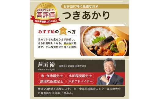 令和8年産 先行予約 新潟県 上越市産米 つきあかり 【隔月配送】 定期便 5kg×3回 計15kg 3か月 新米 精米 米ヴィレッジさんわ 上越市三和区