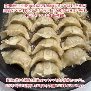【数量限定】肉屋が作る美明豚生餃子24個入 2パック（MJ-5）