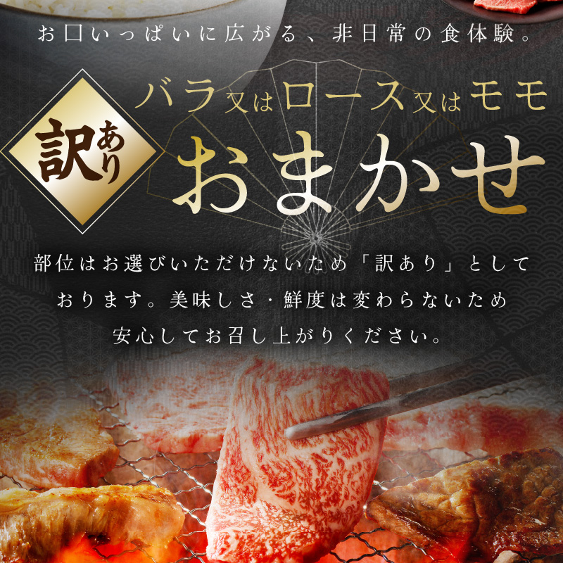 【伊万里牛】 訳あり 焼肉用 バラ・ロース・モモ（ミックス） 1kg （500g×２パック） 小分けパック J1316