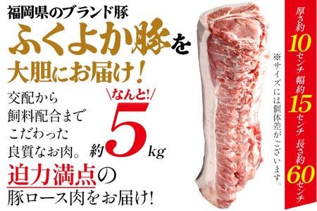 ふくよか豚ロースブロック約5kg 豚ロースブロック 豚ロースブロック肉 豚ロース ブロック肉 塊肉 豚肉 ブタ肉 豚 肉 ふくよか豚 焼肉 ステーキ とんかつ しゃぶしゃぶ 冷蔵 福岡県 福岡 九州 
