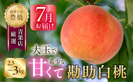 ≪先行予約 2026年発送≫出荷時期はわずか２週間！ 豊橋産『石巻の勘助白桃 2.5～3kg（6～10玉）』桃 桃 桃 桃