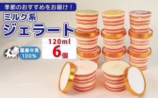 ジェラート 詰め合わせ 120ml 選べる 個数 6個 ミルク系のみ  冷凍 フルーツ ギフト プレゼント 贈答 お取り寄せ グルメ 季節限定 冷凍 徳島県 吉野川市 株式会社マイスター社