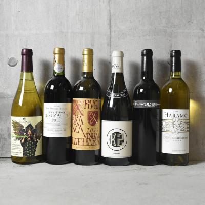 ふるさと納税 甲州市 ハイクオリティワイン6本セット(G-621)