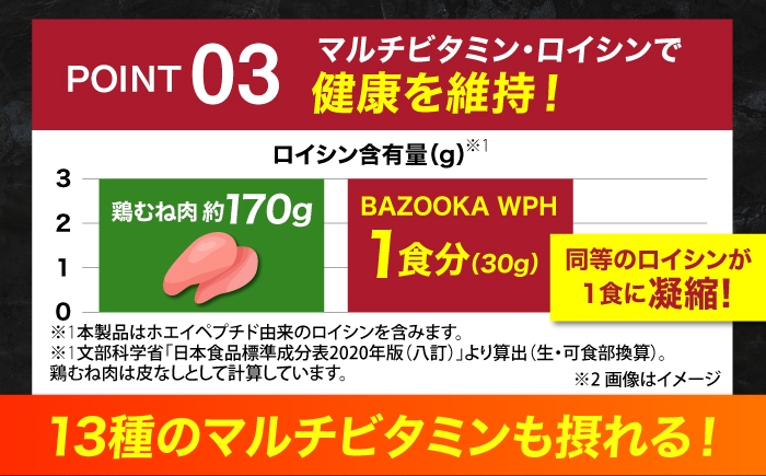 プロテイン ホエイ WPH バズーカ岡田 大容量 セット 人気 おすすめ
