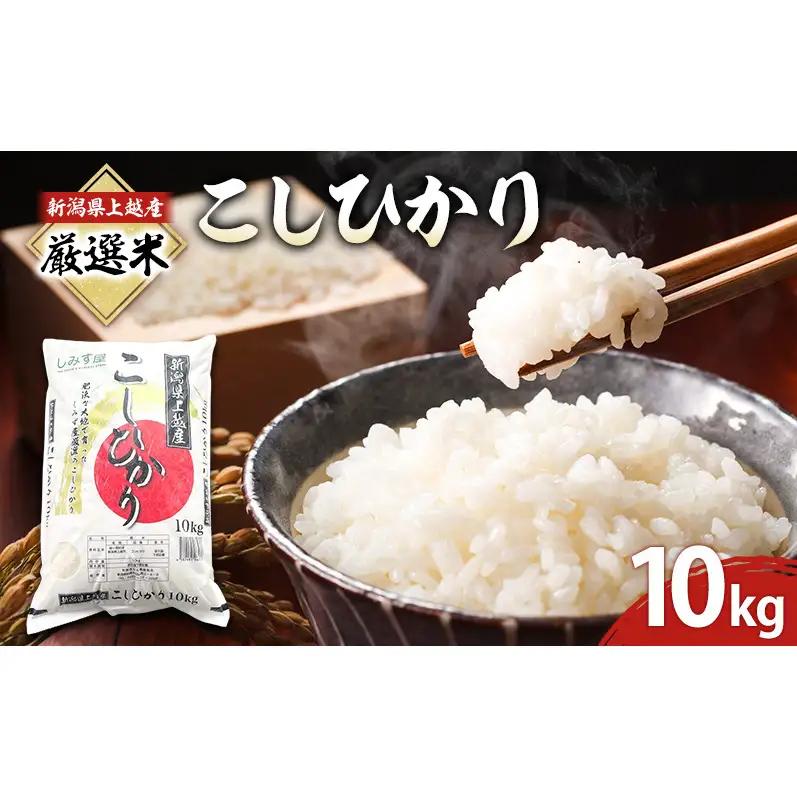 しみず屋 コシヒカリ 板倉区 精米 コシヒカリ 10kg