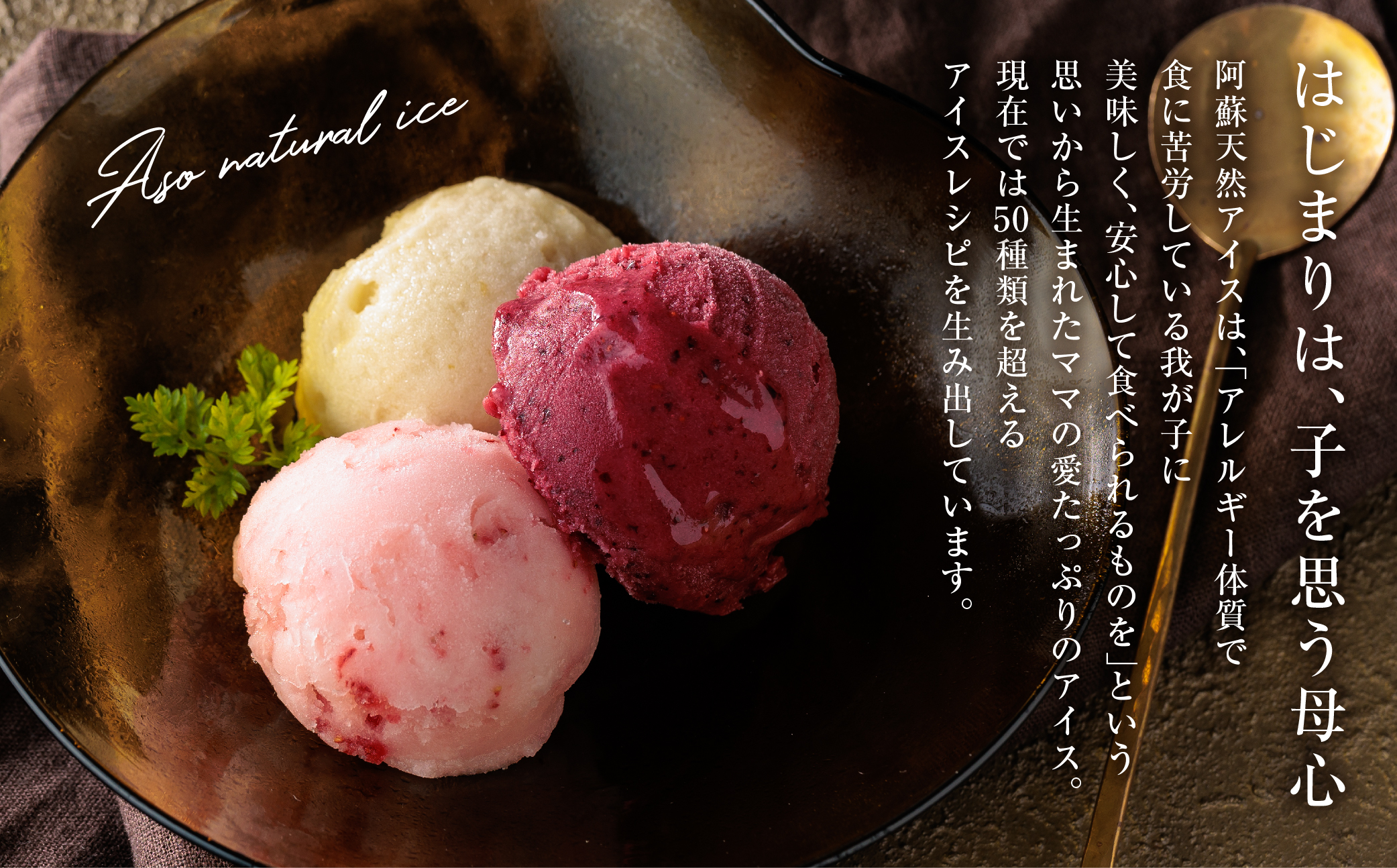 【定期便/全3回】阿蘇天然アイスのアイスクリームやジェラートを3か月お届け！（阿蘇天然アイス）