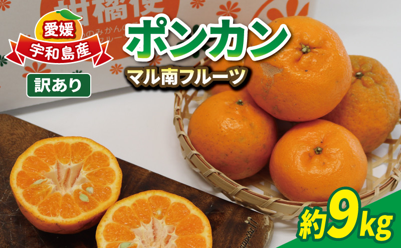 
                  愛媛みかん 訳あり ポンカン 9kg サイズ 不揃い マル南フルーツ ぽんかん 先行予約 愛媛ミカン 愛媛蜜柑 訳ありみかん mikan わけあり 訳アリ 訳あり品 甘い 濃厚 ジューシー 人気 果物 果実 くだもの フルーツ 柑橘 みかん 蜜柑 産地直送 数量限定 国産 愛媛 宇和島 B010-106001
                
