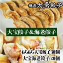 【ふるさと納税】全て国産食材！肉汁あふれる！海老ぎっしり！【横浜大宝餃子】もちもち国産ジャンボ焼き餃子30個と海老餃子20個セット 老舗餃子メーカー 横浜中華 焼餃子 冷凍餃子 ギョーザ ぎょうざ | 食品 加工食品 人気 おすすめ 送料無料 餃子 海老餃子 点心