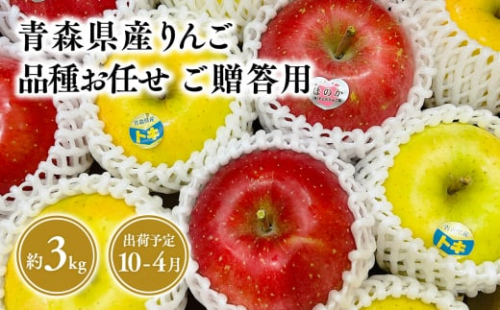 品種お任せ　贈答用　旬のりんご詰め合わせ３kg