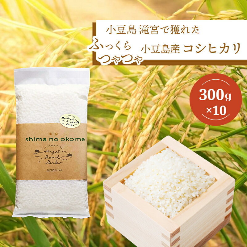 【ふるさと納税】【 小豆島 】小豆島 滝宮で獲れたふっくらつやつや 小豆島産 コシヒカリ 300g×10個 こしひかり お試し 少量 小分け お米 米 白米 精米 もっちり 甘み 3kg 香川 香川県 土庄 土庄町