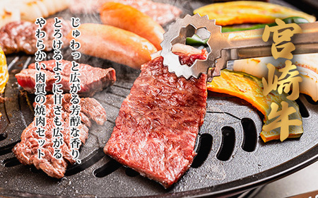宮崎牛&焼鳥セットD（素焼き）特番704